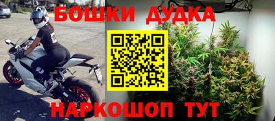 сатива Кулебаки