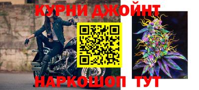 сатива Кулебаки