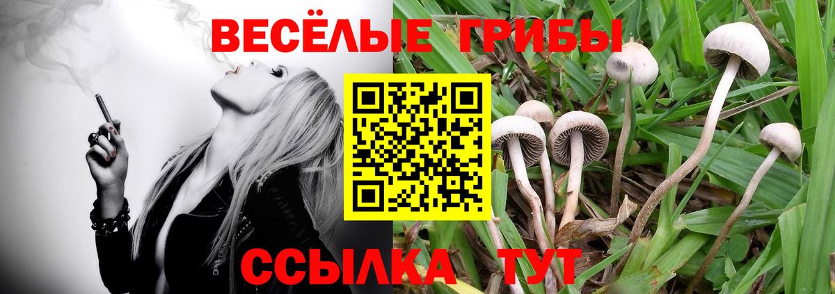 Псилоцибиновые грибы мицелий Еманжелинск